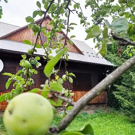 Gospodarstwo Agroturystyczne U Stasikow Spytkowice  Exterior photo