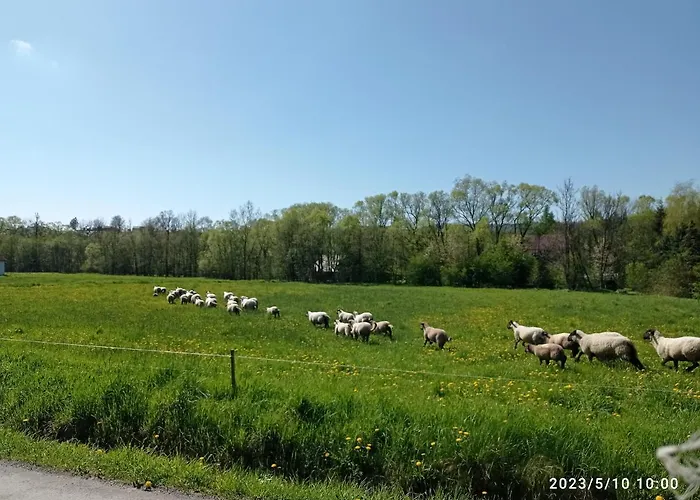 Gospodarstwo Agroturystyczne U Stasikow