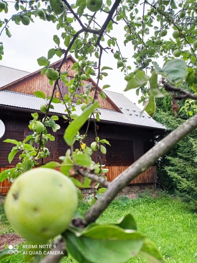 Farm stay U Stasikow Spytkowice (Nowy Targ)
