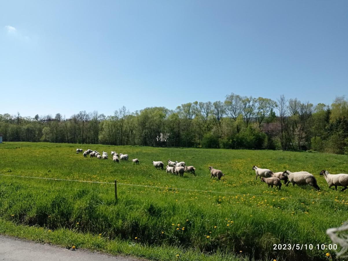 U Stasikow Farm stay *